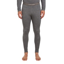 Icebreaker Underwear Thermal Leggings 260 Tech fitted (Merino wool) - grey Men's